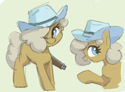 Size: 968x710 | Tagged: safe, artist:plunger, imported from derpibooru, oc, oc only, oc:the mare with no name, earth pony, pony, female, gun, hat, one eye closed, simple background, solo, weapon, white background, wink