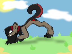 Size: 2048x1536 | Tagged: safe, artist:revenge.cats, imported from derpibooru, dog, dog pony, earth pony, hybrid, pony, bent over, bert mccracken, cloud, cloudy, emo, grass, hooves, looking back, paws, ponified, smiling, spots, sun, the used