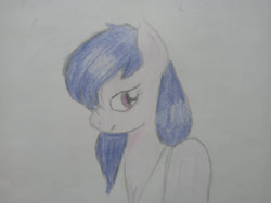 Size: 1280x960 | Tagged: safe, artist:angelovalouva, imported from derpibooru, oc, oc only, pony, solo, traditional art