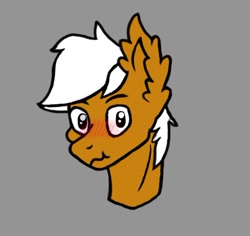 Size: 756x715 | Tagged: safe, artist:creatorjessie, imported from derpibooru, oc, oc only, oc:breezy brown, pony, blushing, brown fur, bust, ear fluff, gray background, looking at you, lowres, male, portrait, simple, simple background, solo, stallion, white hair, white mane