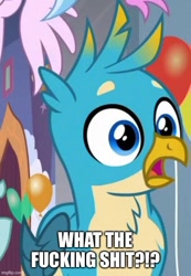 Size: 500x721 | Tagged: safe, edit, edited screencap, imported from derpibooru, screencap, gallus, silverstream, griffon, she's all yak, caption, image macro, imgflip, male, male focus, reaction image, solo focus, text, vulgar