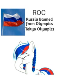 Size: 1500x1999 | Tagged: safe, imported from ponybooru, oc, oc:marussia, bird, pony, roc, nation ponies, olympics, olympics 2020, ponified, russia, sad