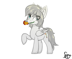 Size: 1200x1000 | Tagged: safe, imported from derpibooru, oc, oc only, oc:light knight, pony, ear fluff, flower, flower in mouth, mouth hold, rose, simple background, solo, white background