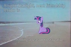 Size: 1087x720 | Tagged: artist needed, safe, artist:slb94, edit, editor:notxweeb, imported from derpibooru, twilight sparkle, alicorn, pony, beach, crying, irl, meme, photo, ponies in real life, sad smile, solo, twilight sparkle (alicorn)