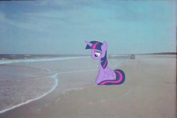 Size: 1087x720 | Tagged: artist needed, safe, alternate version, artist:slb94, edit, editor:notxweeb, imported from derpibooru, twilight sparkle, alicorn, pony, beach, crying, female, irl, looking down, man, mare, meme, photo, sad smile, sitting, twilight sparkle (alicorn), watermark