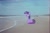 Size: 1087x720 | Tagged: artist needed, safe, alternate version, artist:slb94, edit, editor:notxweeb, imported from derpibooru, twilight sparkle, alicorn, pony, beach, crying, female, irl, looking down, man, mare, meme, photo, sad smile, sitting, twilight sparkle (alicorn), watermark