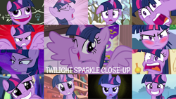 Size: 1280x720 | Tagged: safe, edit, edited screencap, editor:quoterific, imported from derpibooru, screencap, twilight sparkle, alicorn, pony, unicorn, a trivial pursuit, bats!, best gift ever, lesson zero, look before you sleep, made in manehattan, party pooped, season 1, season 2, season 4, season 5, season 9, tanks for the memories, the ticket master, three's a crowd, twilight's kingdom, spoiler:s09, blushing, breaking the fourth wall, close-up, cute, eye shimmer, eyes closed, faic, golden oaks library, pudding face, spoiler alert, stop the bats, this is trivia trot, trivia trot, twiabetes, twilight sparkle (alicorn), twilighting, unicorn twilight, winter is coming