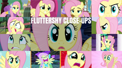 Size: 1280x721 | Tagged: safe, edit, edited screencap, editor:quoterific, imported from derpibooru, screencap, fluttershy, pegasus, pony, bats!, castle mane-ia, friendship is magic, keep calm and flutter on, stare master, sweet and smoky, the best night ever, clothes, crying, cute, cute puppy dog eyes, fluttercry, fluttershy is not amused, flying, puppy dog eyes, shyabetes, solo, stare, tears of fear, unamused, winter outfit, you're going to love me