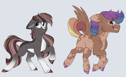 Size: 2377x1452 | Tagged: safe, artist:moccabliss, imported from derpibooru, oc, oc only, pegasus, pony, female, gray background, magical gay spawn, magical lesbian spawn, male, mare, offspring, parent:applejack, parent:burnt oak, parent:rainbow dash, parent:trouble shoes, parents:appledash, simple background, stallion