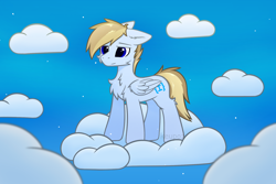 Size: 1920x1280 | Tagged: safe, artist:keupoz, imported from derpibooru, oc, oc only, oc:terncode, pegasus, cloud, commission, on a cloud, pegasus oc, sky, standing on a cloud, wings