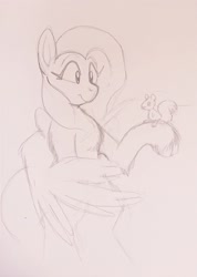 Size: 2009x2819 | Tagged: safe, artist:yidwags, imported from derpibooru, fluttershy, pegasus, squirrel, bipedal, cute, daaaaaaaaaaaw, high res, raised hoof, shyabetes, sketch, traditional art