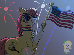 Size: 1600x1200 | Tagged: safe, artist:gray star, derpibooru exclusive, imported from derpibooru, oc, oc:sunny side(gray star), 4th of july, face paint, female, fireworks, flag, glasses, holiday, trans female, transgender