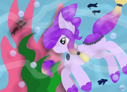 Size: 2000x1458 | Tagged: safe, artist:saphiresong98, imported from derpibooru, oc, oc only, earth pony, fish, pony, bubble, contest entry, female, flowing tail, ocean, purple mane, purple tail, red eyes, seaweed, solo, swimming, underwater, water