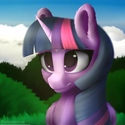 Size: 4096x4096 | Tagged: safe, artist:darbedarmoc, imported from derpibooru, twilight sparkle, alicorn, pony, unicorn, chest fluff, cloud, disgusted, ear fluff, grass, looking forward, solo, twilight sparkle (alicorn), two toned mane