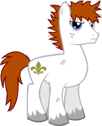 Size: 2200x2725 | Tagged: safe, artist:lt-fleur, imported from derpibooru, oc, oc only, oc:fleur, earth pony, pony, fanfic:rainbow factory, fanfic art, freckles, high res, male, scuff mark, simple background, solo, stallion, transparent background, unshorn fetlocks, vector