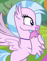 Size: 822x1064 | Tagged: safe, imported from derpibooru, screencap, silverstream, classical hippogriff, hippogriff, school daze, season 8, spoiler:s08, cropped, cute, diastreamies, female, solo