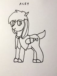 Size: 924x1232 | Tagged: safe, artist:autumnsfur, artist:autumnsfurart, imported from derpibooru, oc, oc only, pegasus, pony, cloak, clothes, lineart, pegasus oc, smiling, solo, traditional art, wings