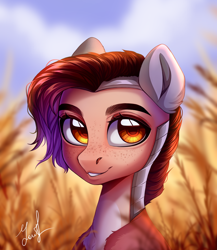 Size: 1236x1426 | Tagged: safe, artist:dashameleshkina666, imported from derpibooru, oc, oc only, pony, bust, female, field, food, freckles, helmet, solo, wheat