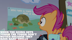 Size: 1280x720 | Tagged: safe, edit, edited screencap, editor:quoterific, imported from derpibooru, screencap, scootaloo, pegasus, pony, turtle, parental glideance, season 7, bag, camera, female, filly, open mouth, poster, saddle bag, solo, spread wings, wings, written equestrian