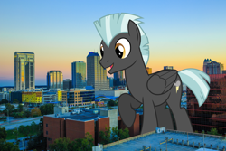 Size: 2048x1364 | Tagged: safe, artist:sirmlp1, imported from derpibooru, thunderlane, pegasus, pony, florida, giant pony, highrise ponies, irl, macro, male, orlando, photo, ponies in real life, stallion