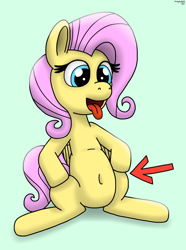 Size: 2355x3159 | Tagged: safe, artist:darkyboode32, imported from derpibooru, fluttershy, pegasus, pony, arrow, belly, belly button, fat, female, high res, hooves on hips, mare, open mouth, simple background, sitting, solo, tongue out