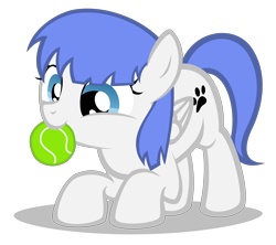 Size: 1940x1720 | Tagged: safe, artist:strategypony, imported from derpibooru, oc, oc only, oc:snow pup, pegasus, pony, ball, behaving like a dog, cute, female, filly, foal, nom, simple background, tennis ball