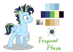 Size: 1890x1338 | Tagged: safe, artist:sarasdream04, imported from derpibooru, oc, oc only, oc:tropical flash, pegasus, pony, male, offspring, parent:rainbow dash, parent:soarin', parents:soarindash, reference sheet, simple background, solo, stallion, transparent background