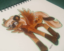 Size: 444x354 | Tagged: safe, artist:kefico, imported from derpibooru, oc, oc only, pegasus, pony, coat markings, female, mare, pegasus oc, signature, smiling, socks (coat markings), solo, traditional art, wings