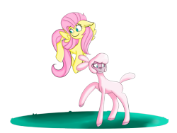 Size: 2000x1500 | Tagged: safe, artist:heartbeat420, imported from derpibooru, fluttershy, pom lamb, lamb, pegasus, pony, sheep, them's fightin' herds, community related, crossover, duo, female, mare, simple background, transparent background