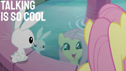 Size: 1280x720 | Tagged: safe, edit, edited screencap, editor:quoterific, imported from derpibooru, screencap, angel bunny, fluttershy, pegasus, pony, rabbit, season 9, she talks to angel, spoiler:s09, angelbetes, animal, body swap, cute, duo, female, fountain, male, mare, open mouth, reflection, role reversal, shyabetes, smiling, tongue out