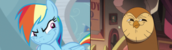 Size: 3656x1072 | Tagged: safe, imported from derpibooru, rainbow dash, bird, demon, owl, pegasus, pony, tanks for the memories, spoiler:the owl house, bug demon, comparison, disney, hooty, hooty the owl, house demon, rainbow dash is best facemaker, spoiler, spoilers for another series, the owl house