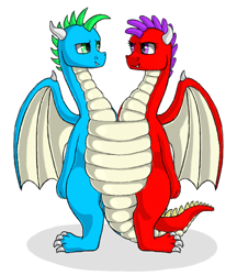 Size: 550x637 | Tagged: safe, artist:ukulelepineapplecat, imported from derpibooru, oc, oc only, dragon, conjoined, conjoined twins, dragon oc, duo, fusion, simple background, white background