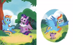 Size: 2268x1406 | Tagged: safe, artist:zoe persico, imported from derpibooru, rainbow dash, twilight sparkle, alicorn, pegasus, pony, book, cloud, female, flower, flying, g4, little golden book, mare, official, rainbow dash: reading rainboom, reading, tree, twilight sparkle (alicorn)