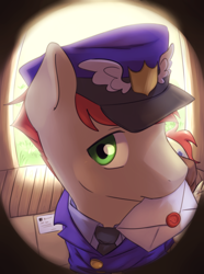 Size: 2872x3850 | Tagged: safe, artist:aquoquoo, imported from derpibooru, care package, special delivery, pegasus, pony, clothes, cute, fisheye lens, hat, high res, letter, mailpony, mailpony uniform, male, mouth hold, necktie, solo, stallion