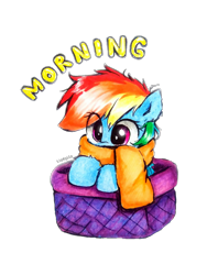 Size: 952x1269 | Tagged: safe, artist:liaaqila, imported from derpibooru, rainbow dash, pegasus, pony, basket, clothes, cute, dashabetes, female, filly, filly rainbow dash, good morning, if i fits i sits, liaaqila is trying to murder us, liaaqila is trying to murder us with dashabetes, morning ponies, scarf, simple background, solo, transparent background, weapons-grade cute, younger