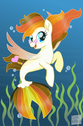 Size: 750x1129 | Tagged: safe, artist:spring-heart, imported from derpibooru, oc, oc only, pegasus, pony, seapony (g4), base used, blue background, blue eyes, bubble, crepuscular rays, dorsal fin, female, fin wings, fish tail, flowing mane, flowing tail, glasses, ocean, open mouth, seaponified, seaweed, simple background, smiling, solo, species swap, tail, underwater, water, wings