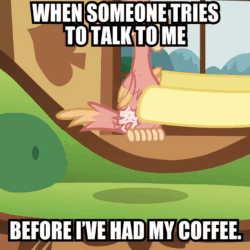 Size: 1080x1080 | Tagged: safe, edit, edited screencap, imported from derpibooru, screencap, fluttershy, philomena, pegasus, phoenix, pony, a bird in the hoof, season 1, animated, caption, cropped, facebook, female, g4, image macro, impact font, mare, meme, official, offscreen character, solo focus, text, webm
