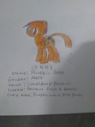 Size: 2448x3264 | Tagged: safe, artist:iloveponies, imported from derpibooru, oc, oc only, pegasus, pony, description, female, high res, mare, pegasus oc, photo, solo, traditional art, wings