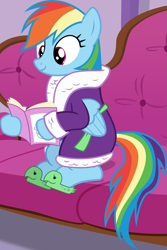 Size: 2675x4000 | Tagged: safe, artist:frownfactory, imported from derpibooru, rainbow dash, pegasus, pony, applejack's "day" off, season 6, bathrobe, book, clothes, couch, cute, dashabetes, female, mare, reading, robe, show accurate, sitting, slippers, smiling, solo, tank slippers, vector, wings