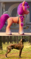 Size: 366x700 | Tagged: safe, edit, edited screencap, imported from derpibooru, screencap, sunny starscout, dog, earth pony, pony, spoiler:g5, spoiler:my little pony: a new generation, 3d, female, g5, irl, irl dog, mare, my little pony: a new generation, nudity, photo, sheath