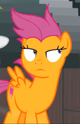 Size: 467x721 | Tagged: safe, imported from derpibooru, screencap, scootaloo, pegasus, pony, growing up is hard to do, cropped, lidded eyes, older, older scootaloo, solo, windswept mane