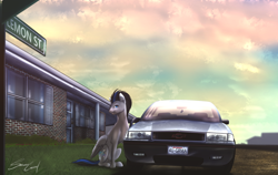 Size: 2716x1715 | Tagged: safe, artist:sakuracheetah, imported from derpibooru, oc, oc only, oc:slipstream, pegasus, pony, car, chevrolet, chevrolet lumina, solo