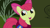 Size: 1920x1080 | Tagged: safe, imported from derpibooru, screencap, apple bloom, earth pony, pony, season 1, stare master, 1080p, adorabloom, apple bloom's bow, bow, cape, clothes, cmc cape, cute, everfree forest, female, filly, hair bow, solo