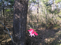 Size: 838x628 | Tagged: safe, artist:breezietype, edit, imported from derpibooru, pinkie pie, earth pony, pony, edited photo, female, forest, mare, outdoors, photo, solo, tongue out, tree