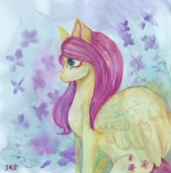 Size: 1608x1629 | Tagged: safe, artist:ske, imported from derpibooru, fluttershy, pegasus, pony, cute, daaaaaaaaaaaw, shyabetes, solo, traditional art, watercolor painting