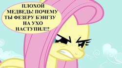 Size: 1280x720 | Tagged: safe, edit, edited screencap, imported from derpibooru, screencap, fluttershy, putting your hoof down, angry, cyrillic, implied bear, implied feather bangs, literal metaphor, misspelling, russian, speech, speech bubble, talking, translated in the description