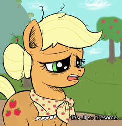 Size: 1062x1096 | Tagged: artist needed, safe, imported from derpibooru, applejack, earth pony, pony, caption, clothes, dialogue, empire of dust, hair bun, older, older applejack, reaction image, sad, shawl, solo, tired
