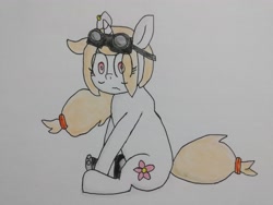 Size: 4000x3000 | Tagged: safe, artist:cherro, imported from derpibooru, oc, oc only, oc:cherry blossom, pony, accessories, accessory, amputee, goggles, prosthetic limb, prosthetics, solo, traditional art