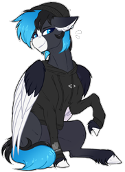 Size: 2136x2932 | Tagged: safe, artist:nocti-draws, imported from derpibooru, oc, oc only, oc:nocti, pegasus, pony, high res, solo