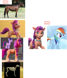 Size: 1154x1337 | Tagged: safe, edit, edited screencap, imported from derpibooru, screencap, rainbow dash, sunny starscout, twilight sparkle, earth pony, horse, pegasus, unicorn, 3d, bone, comparison, g5, information, irl, irl horse, my little pony: a new generation, photo, side view, skeleton, standing